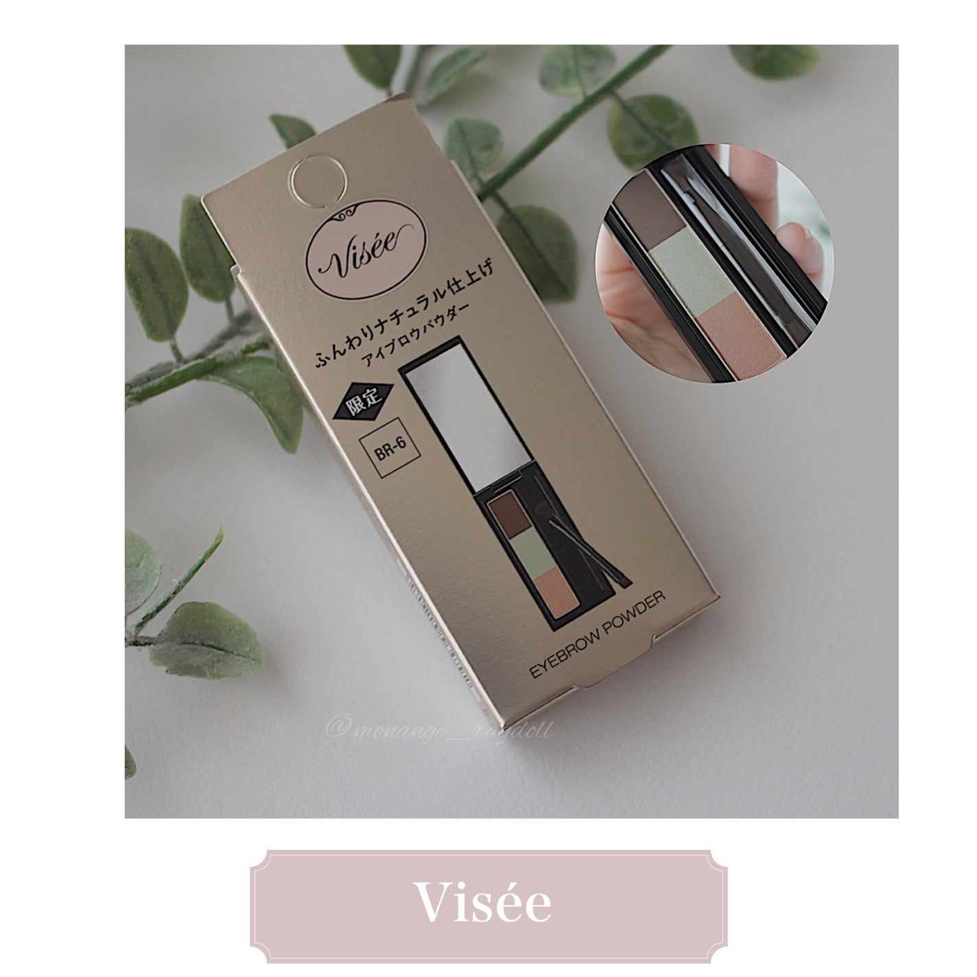 ヴィセ リシェ アイブロウパウダー/Visée/パウダーアイブロウを使ったクチコミ(1枚目)