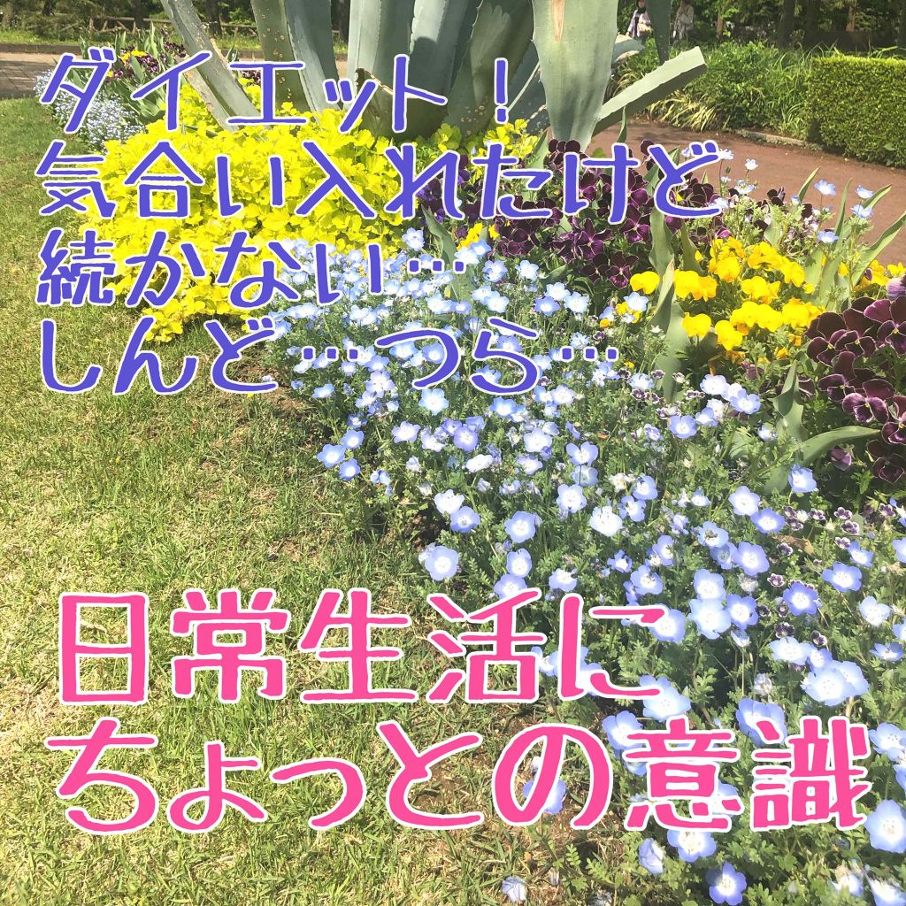 祭りっ子 on LIPS 「ダイエットなの?!って位の意識からのダイエット?を!きついの無..」(1枚目)