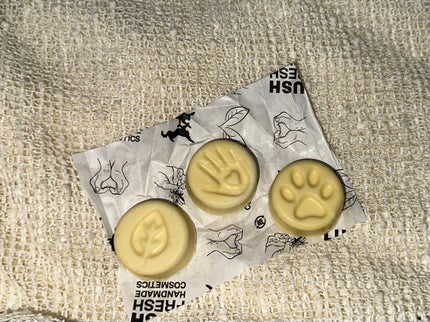 æªžæª¬ã®æå
/ã©ãã·ã¥/ãã³ãã¯ãªãŒã ã䜿ã£ãã¯ãã³ãïŒ2æç®ïŒ