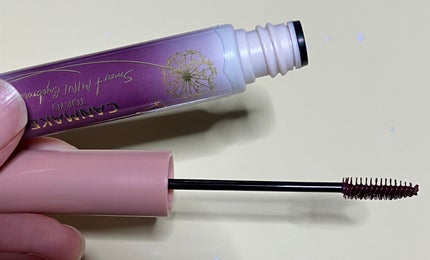 スマートミニアイブロウカラー/キャンメイク/眉マスカラを使ったクチコミ(1枚目)