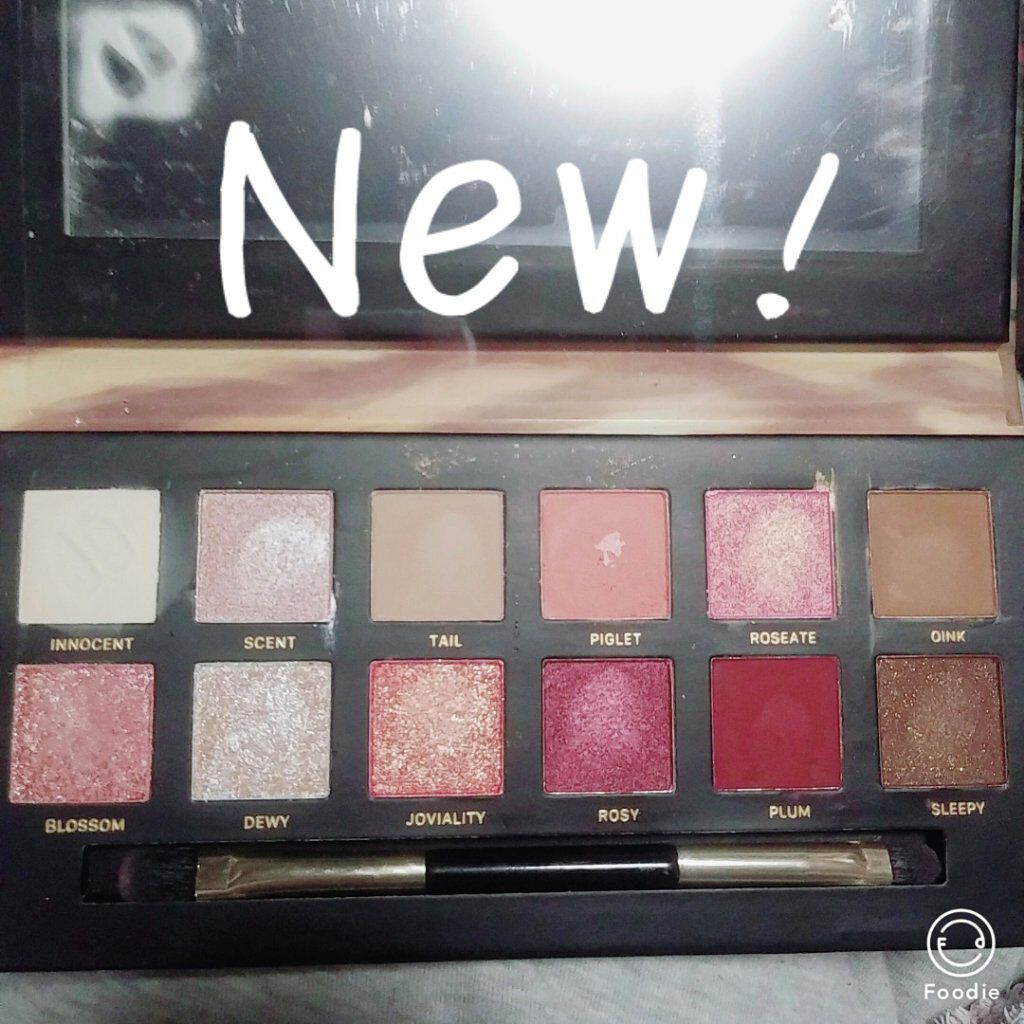 エクスプローラ12色 動物アイシャドウパレット/PERFECT DIARY/アイシャドウパレットを使ったクチコミ(2枚目)