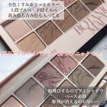 プロ アイ パレット/CLIO/アイシャドウパレットを使ったクチコミ(2枚目)