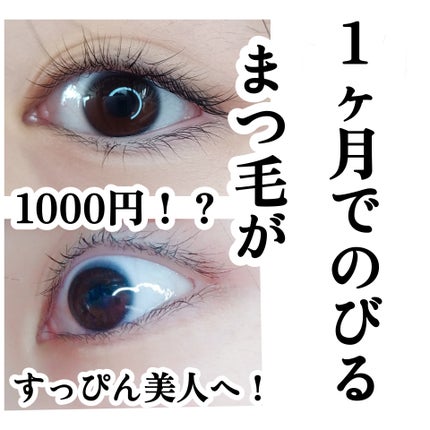 ラッシュジェリードロップ EX/MAJOLICA MAJORCA/まつげ美容液を使ったクチコミ(1枚目)