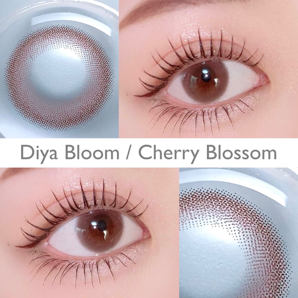 Diya Bloom UVモイスト/Diya/カラーコンタクトレンズを使ったクチコミ（3枚目）