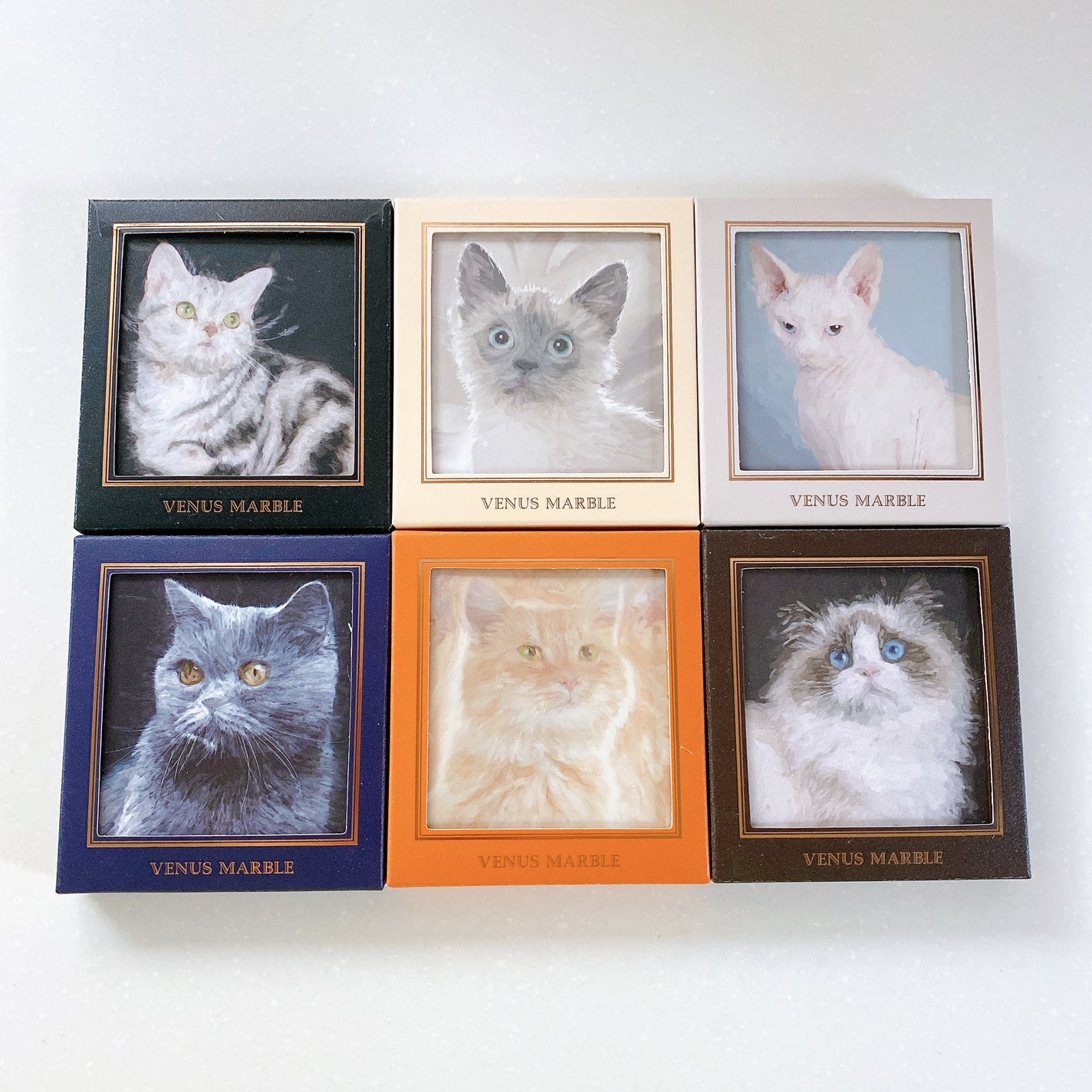 Venus Marble アイシャドウキャットシリーズ/Venus Marble/アイシャドウパレットを使ったクチコミ(5枚目)