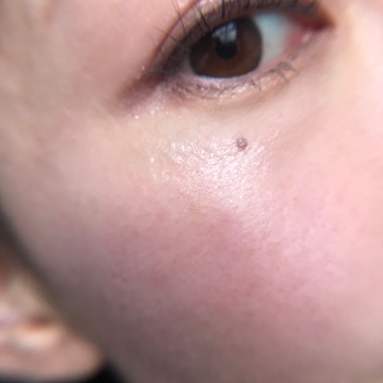 レディフラワーパレット/MilleFée/マルチパレットを使ったクチコミ(9枚目)