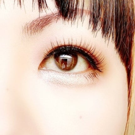 長相思シリーズ 9色アイシャドウパレット/CATKIN/アイシャドウパレットを使ったクチコミ(6枚目)