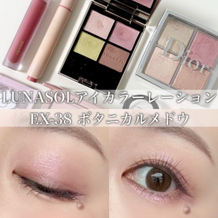 アイカラーレーション/LUNASOL/アイシャドウパレットを使ったクチコミ(1枚目)