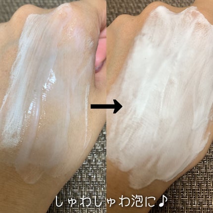 洗顔だけじゃない+パックもできる洗顔料/ONE STONE TWO BIRDS/その他洗顔料を使ったクチコミ(5枚目)