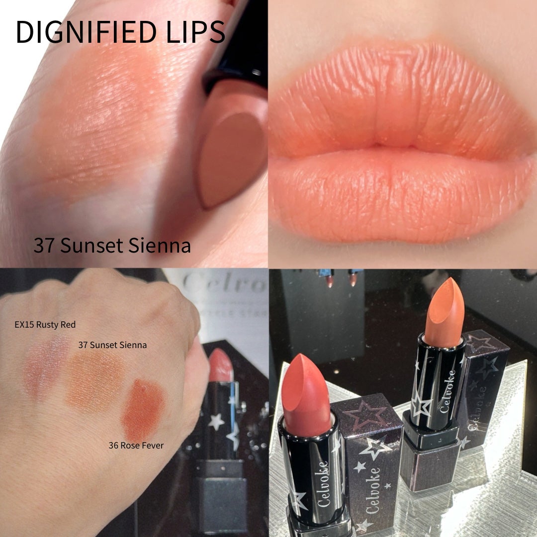 ディグニファイド リップス/Celvoke/口紅を使ったクチコミ(5枚目)