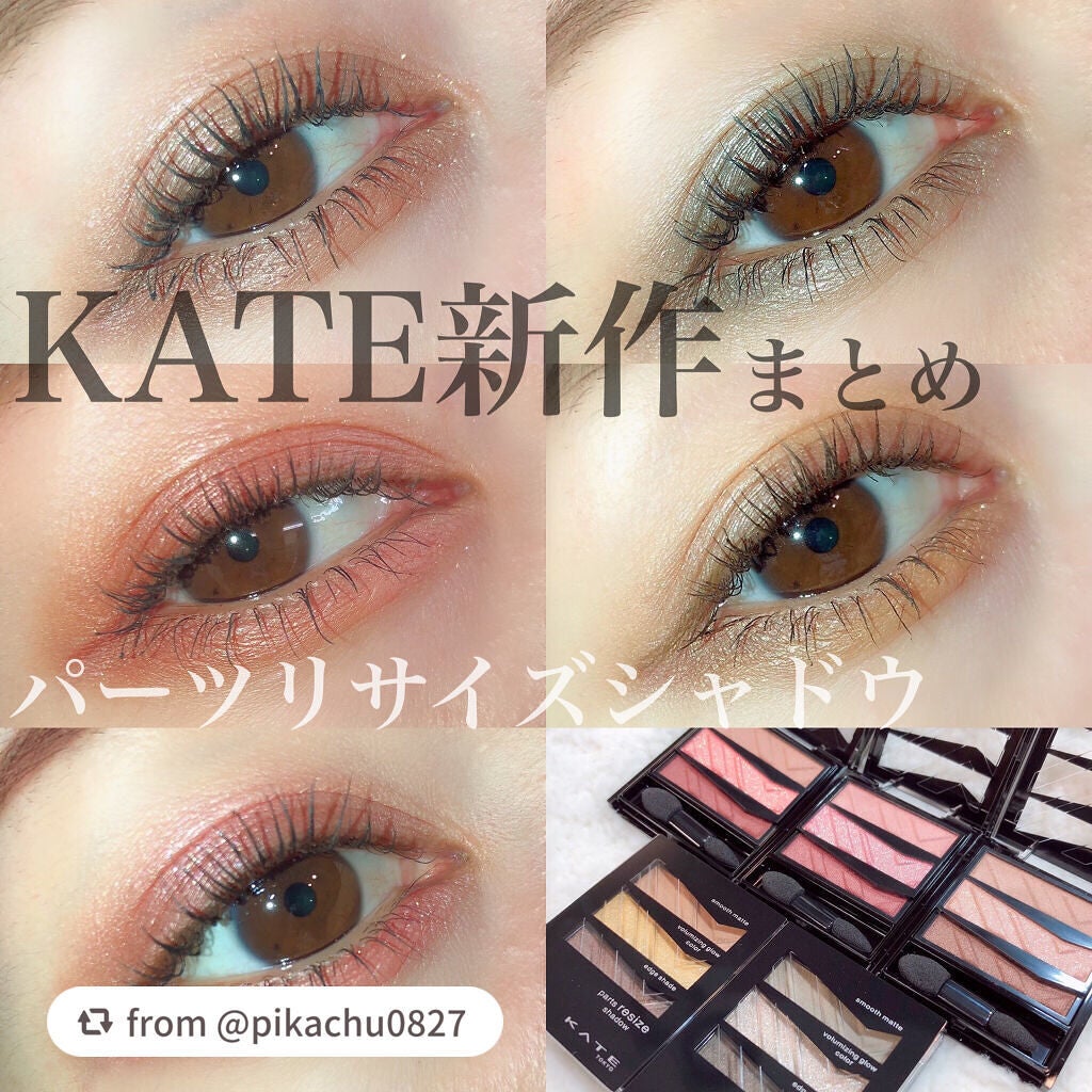 パーツリサイズシャドウ/KATE/アイシャドウパレットを使ったクチコミ(1枚目)