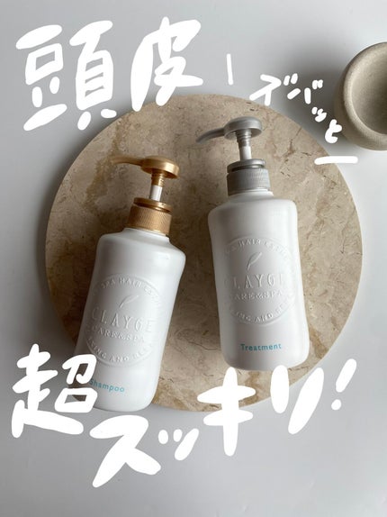 シャンプー/トリートメント SN さらさら/CLAYGE/シャンプー・コンディショナーを使ったクチコミ(1枚目)