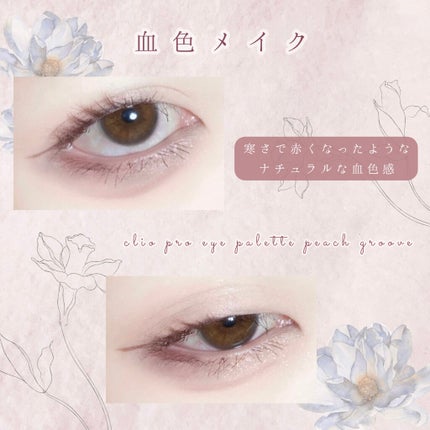 プロ アイ パレット/CLIO/アイシャドウパレットを使ったクチコミ(1枚目)