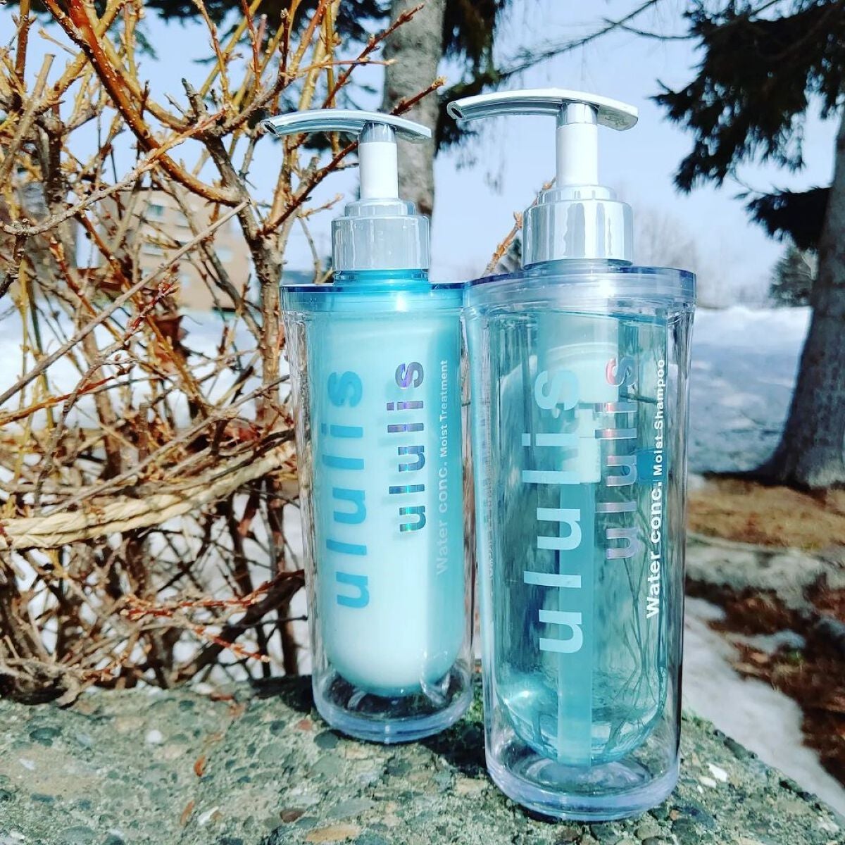 ウォーターコンク モイストシャンプー/ヘアトリートメント/ululis/市販シャンプーを使ったクチコミ(1枚目)