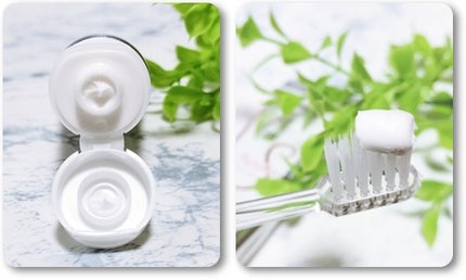 アパガードクリスタル歯ブラシ/アパガード/歯ブラシを使ったクチコミ(5枚目)