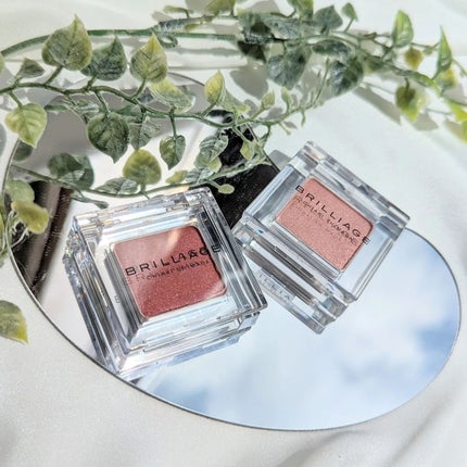 ワンダークリエイション /ブリリアージュ/単色アイシャドウを使ったクチコミ(9枚目)