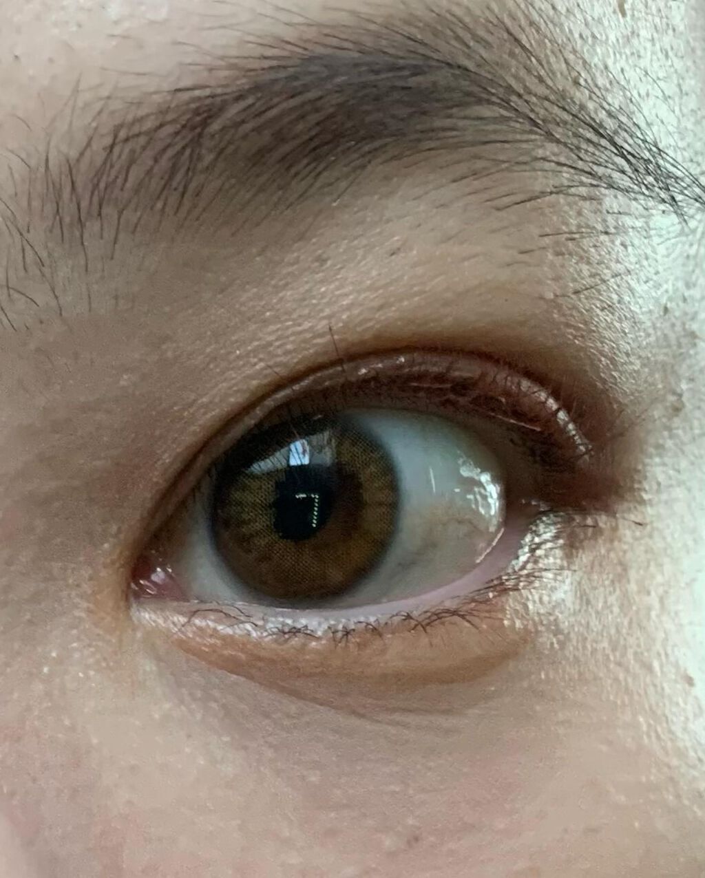 feliamo 1day オリーブブラウン/feliamo/ワンデー（１DAY）カラコンを使ったクチコミ（2枚目）