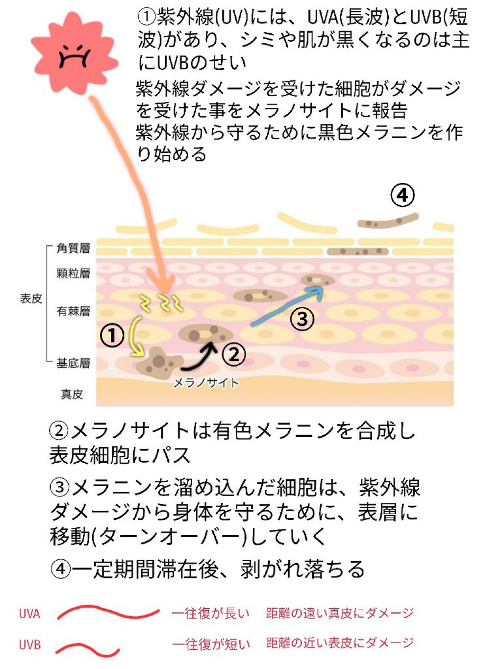 薬用 しみ 集中対策 美容液/メラノCC/美容液を使ったクチコミ（2枚目）