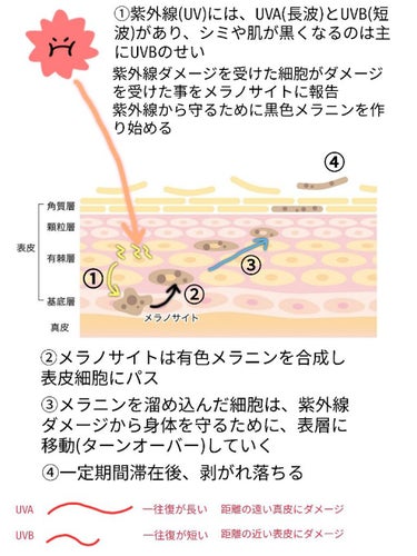 薬用ホワイトニングエッセンスEXII/トランシーノ/美容液を使ったクチコミ（2枚目）