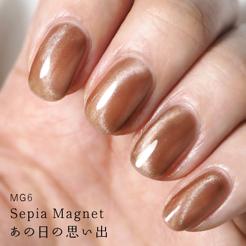 HOMEI ウィークリージェル | MG6 セピアマグネット(Sepia Magnet HOMEI ウィークリージェル | MG6 セピアマグネット(Sepia Magnet