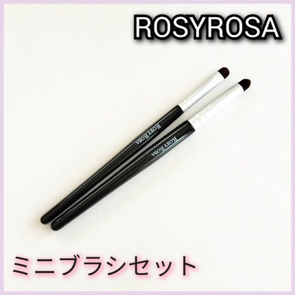 ポイントメイクアップブラシセット/ロージーローザ/メイクブラシを使ったクチコミ(1枚目)