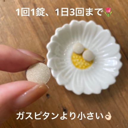 ビオフェルミン ぽっこり整腸チュアブル(医薬品)/ビオフェルミン/その他を使ったクチコミ(2枚目)