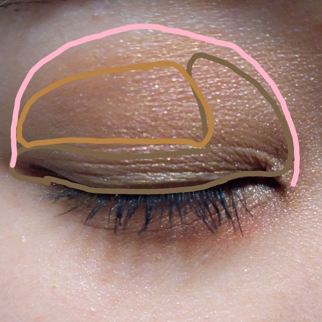 スキンモデリングアイズ/LUNASOL/アイシャドウパレットを使ったクチコミ(2枚目)