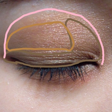 スキンモデリングアイズ/LUNASOL/アイシャドウパレットを使ったクチコミ(2枚目)