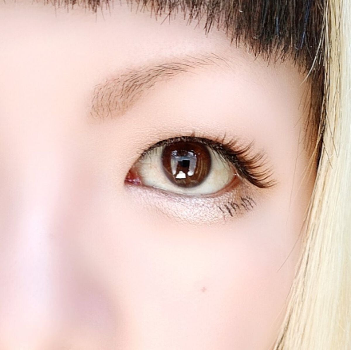 ベージュトーンアイシャドウ/CEZANNE/アイシャドウパレットを使ったクチコミ(6枚目)