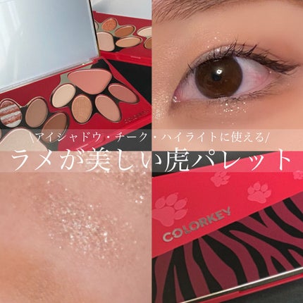 トラ十色アイシャドウパレット/COLORKEY/アイシャドウパレットを使ったクチコミ(1枚目)