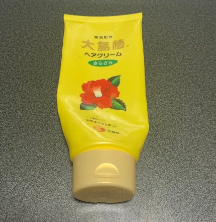 ヘアウォーター/大島椿/プレスタイリング・寝ぐせ直しを使ったクチコミ(4枚目)