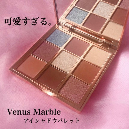 VenusMarble 9色アイシャドウパレット/Venus Marble/アイシャドウパレットを使ったクチコミ(1枚目)