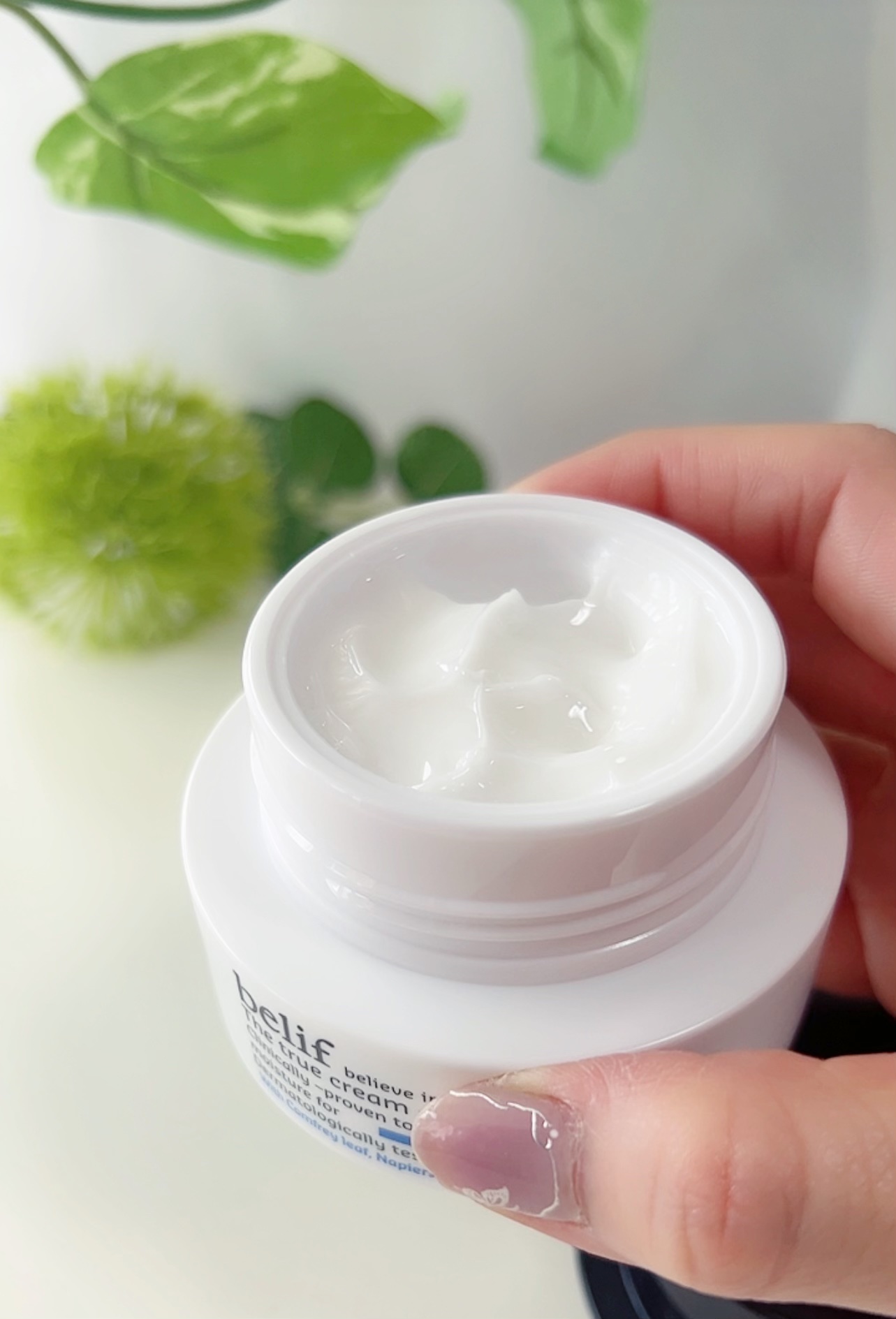 ザ トゥルー モイスチャライジング クリーム/belif/フェイスクリームを使ったクチコミ（2枚目）