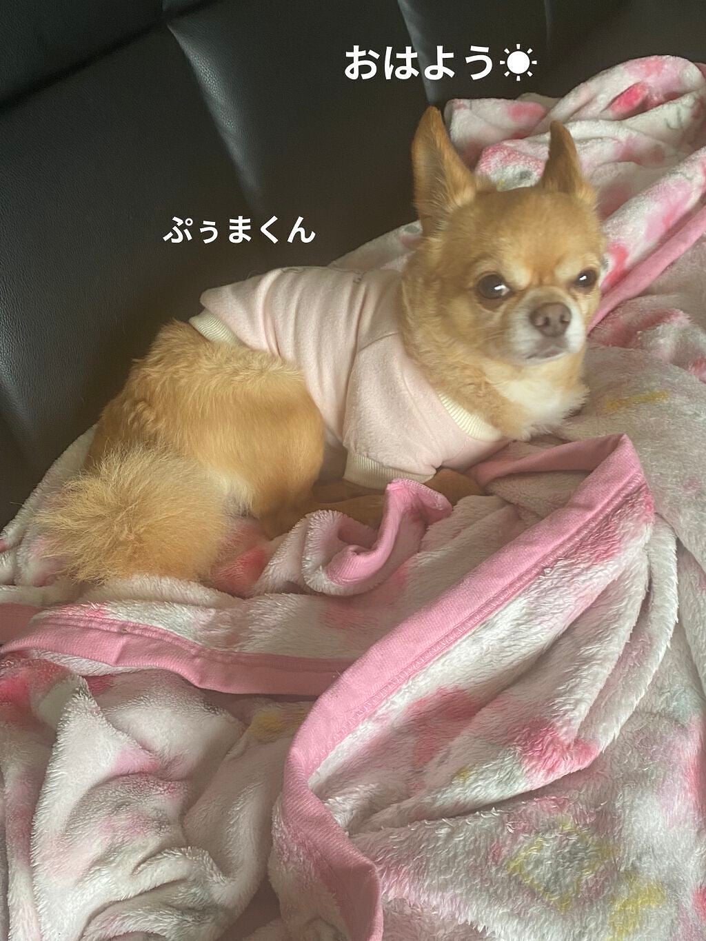 エモーションプルーフ アイ プライマー/TOM FORD BEAUTY/アイシャドウベースを使ったクチコミ(6枚目)