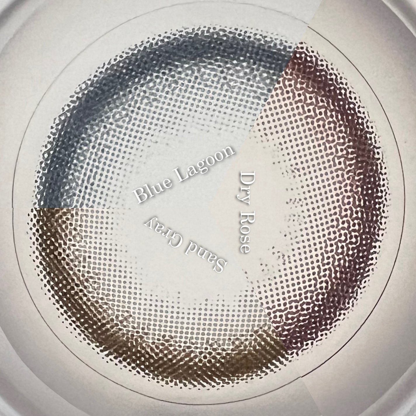 LILMOON 1dayシリコーン/LILMOON/ワンデー(1DAY)カラコンを使ったクチコミ(3枚目)