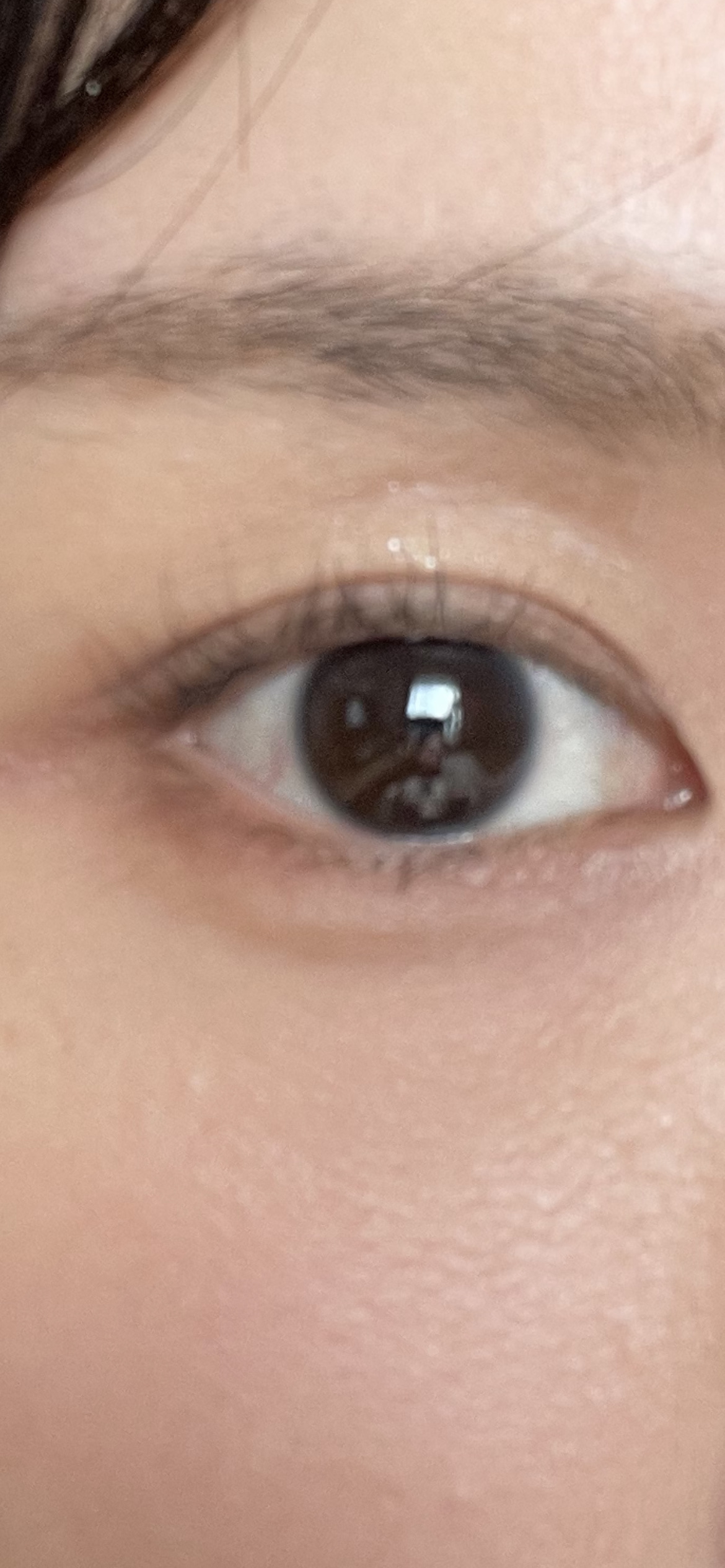 THE アイパレR/b idol/アイシャドウパレットを使ったクチコミ（3枚目）