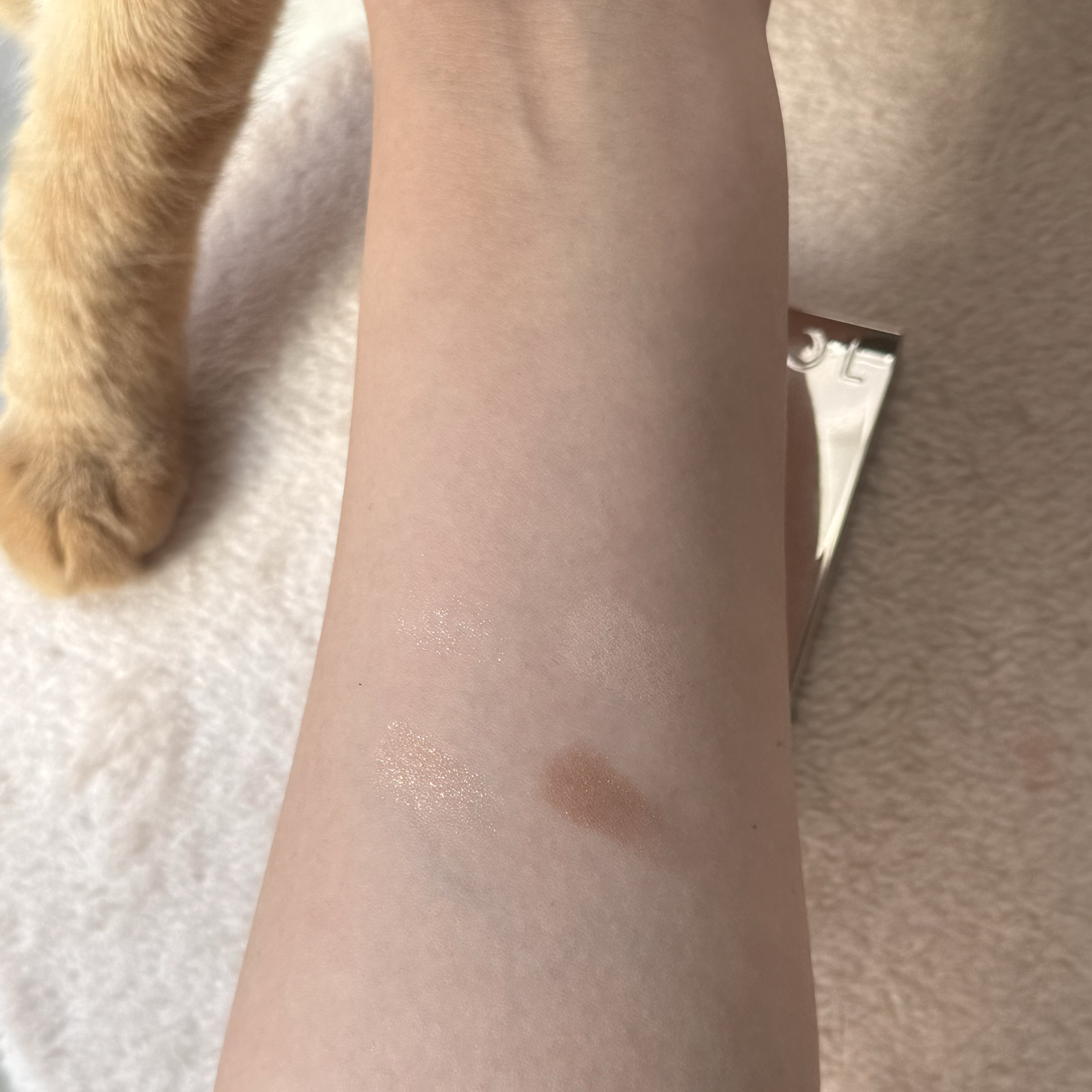 アイカラーレーション/LUNASOL/アイシャドウパレットを使ったクチコミ（2枚目）