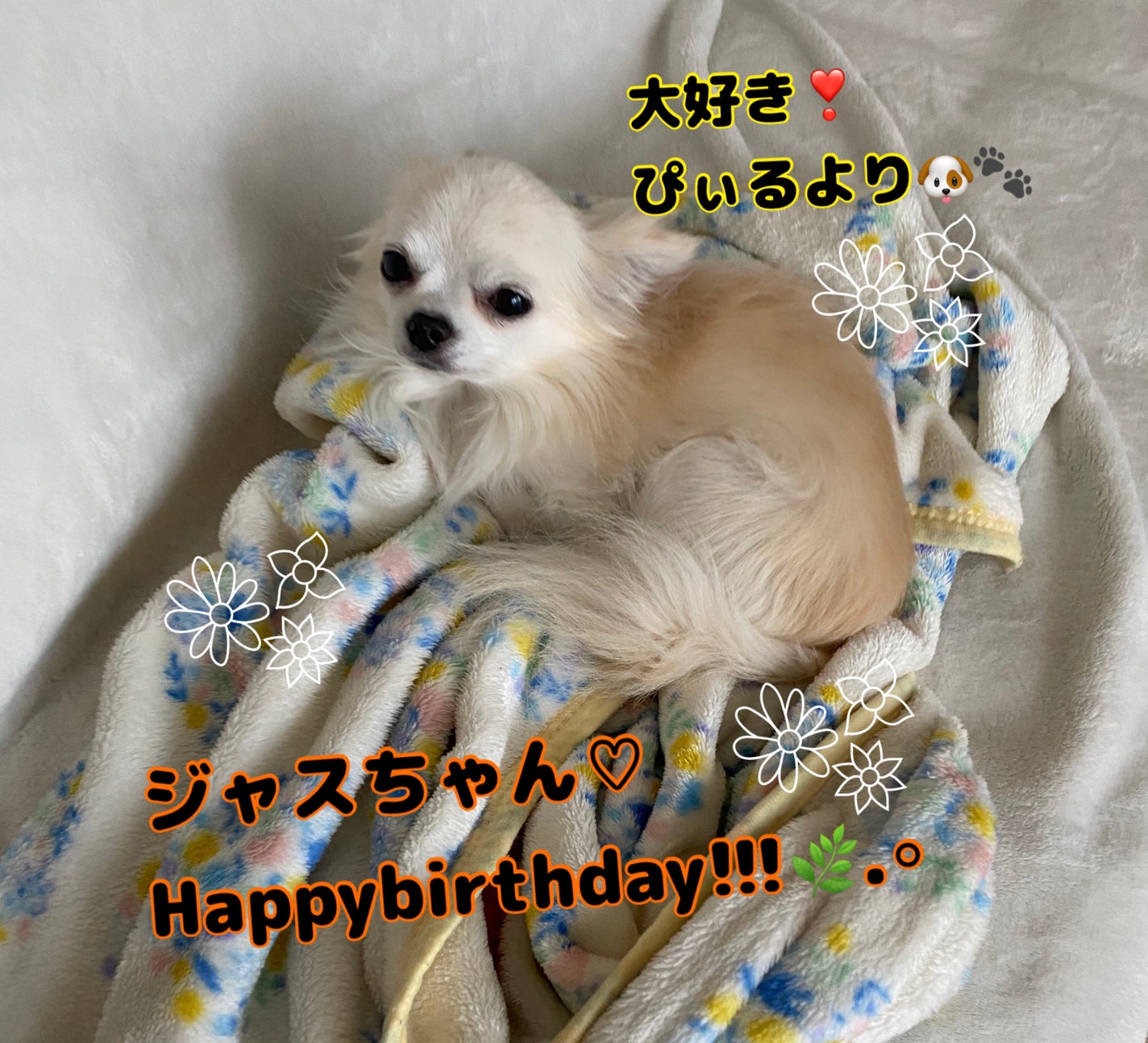 カラフルネイルズ/キャンメイク/マニキュアを使ったクチコミ(6枚目)