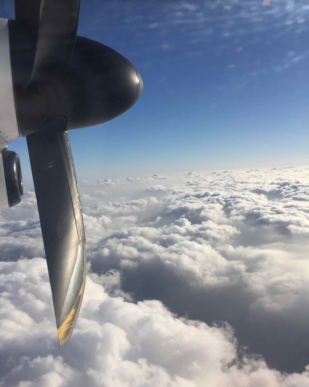 プラチナ美容液/Ryu Spa/美容液を使ったクチコミ（2枚目）