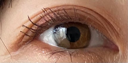 イメージ「マヤ」 アイシャドウパレット/ZEESEA/アイシャドウパレットを使ったクチコミ(5枚目)