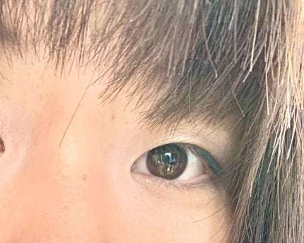 ソー フィアス! プリズマティック パレット/REVLON/アイシャドウパレットを使ったクチコミ(5枚目)