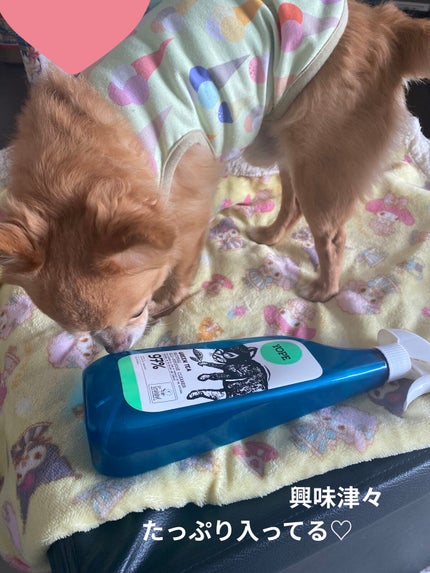 ナチュラル フロアクリーナー グリーンティー/YOPE/その他を使ったクチコミ(5枚目)