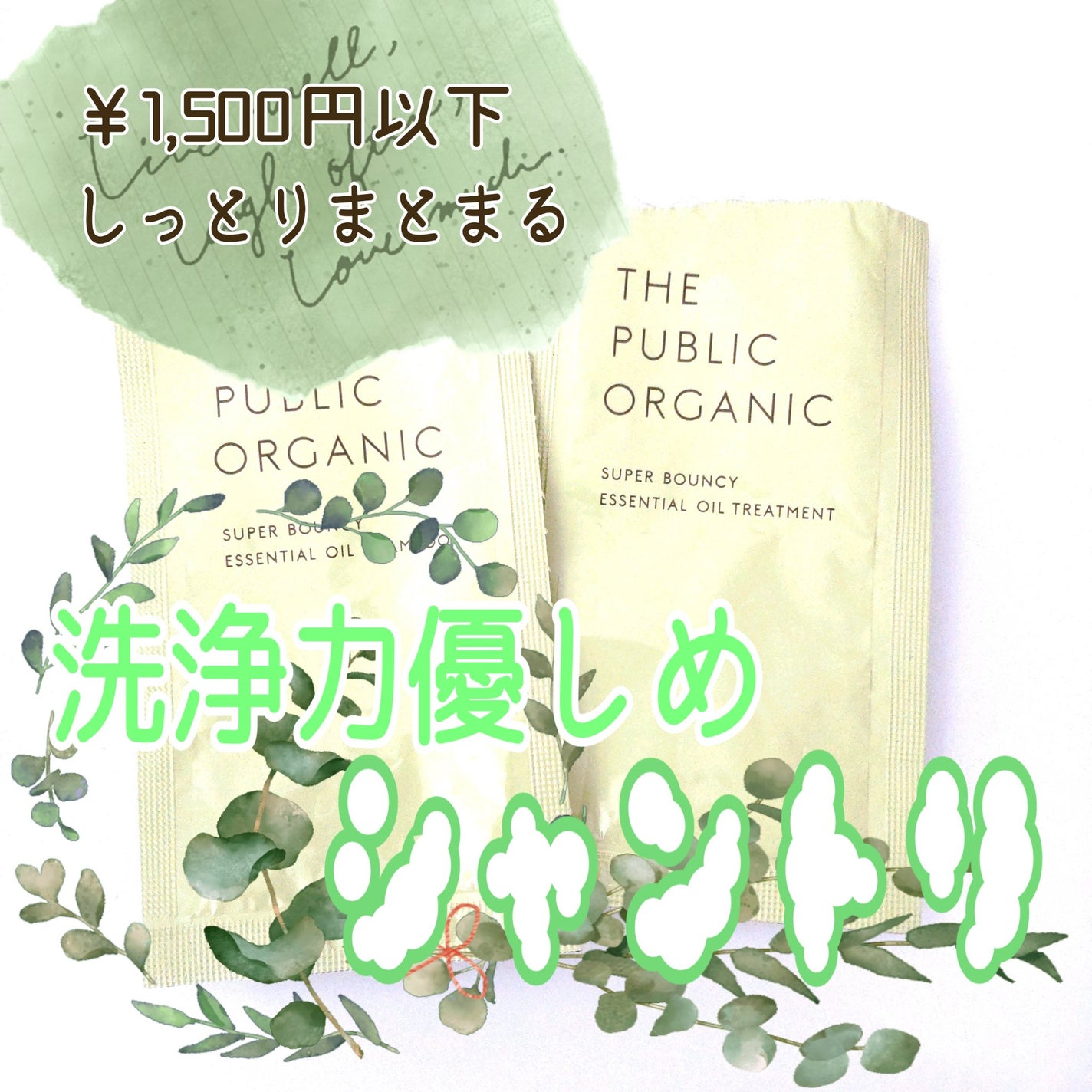 スーパーバウンシー DM シャンプー/DM ヘア トリートメント/THE PUBLIC ORGANIC/市販シャンプーを使ったクチコミ(1枚目)