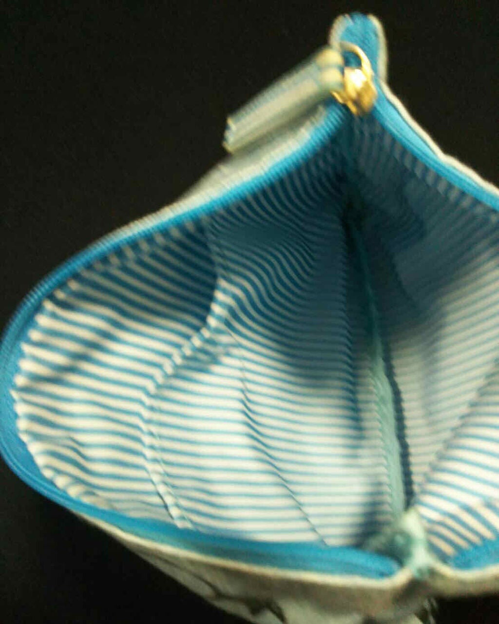 星Sei on LIPS 「3/28今日が誕生日の星です❤今日は学生さんに見てほしいポーチ..」(3枚目)