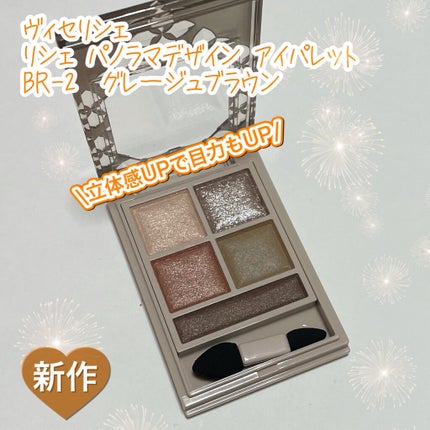 パノラマデザイン アイパレット/Visée/アイシャドウパレットを使ったクチコミ(1枚目)