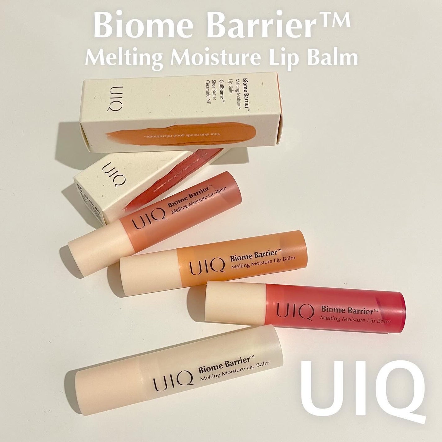 バイオームバリアメルティングモイスチャーリップバーム/UIQ/リップバームを使ったクチコミ(1枚目)