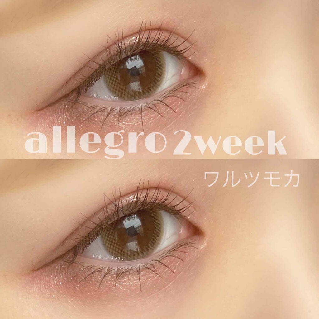 【旧品】パーフェクトスタイリストアイズ/キャンメイク/アイシャドウパレットを使ったクチコミ(1枚目)