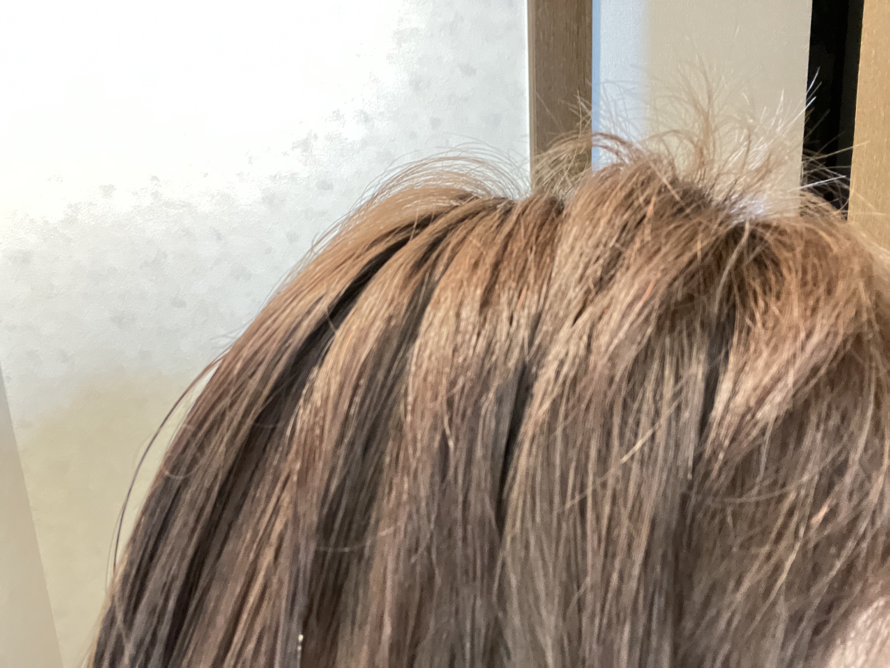 スキャルプスパセラム/マイサロン/頭皮ローションを使ったクチコミ（3枚目）