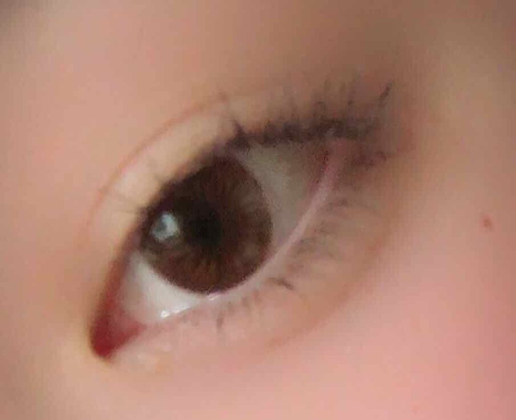 クイックラッシュカーラーL&V/キャンメイク/マスカラ下地を使ったクチコミ（3枚目）