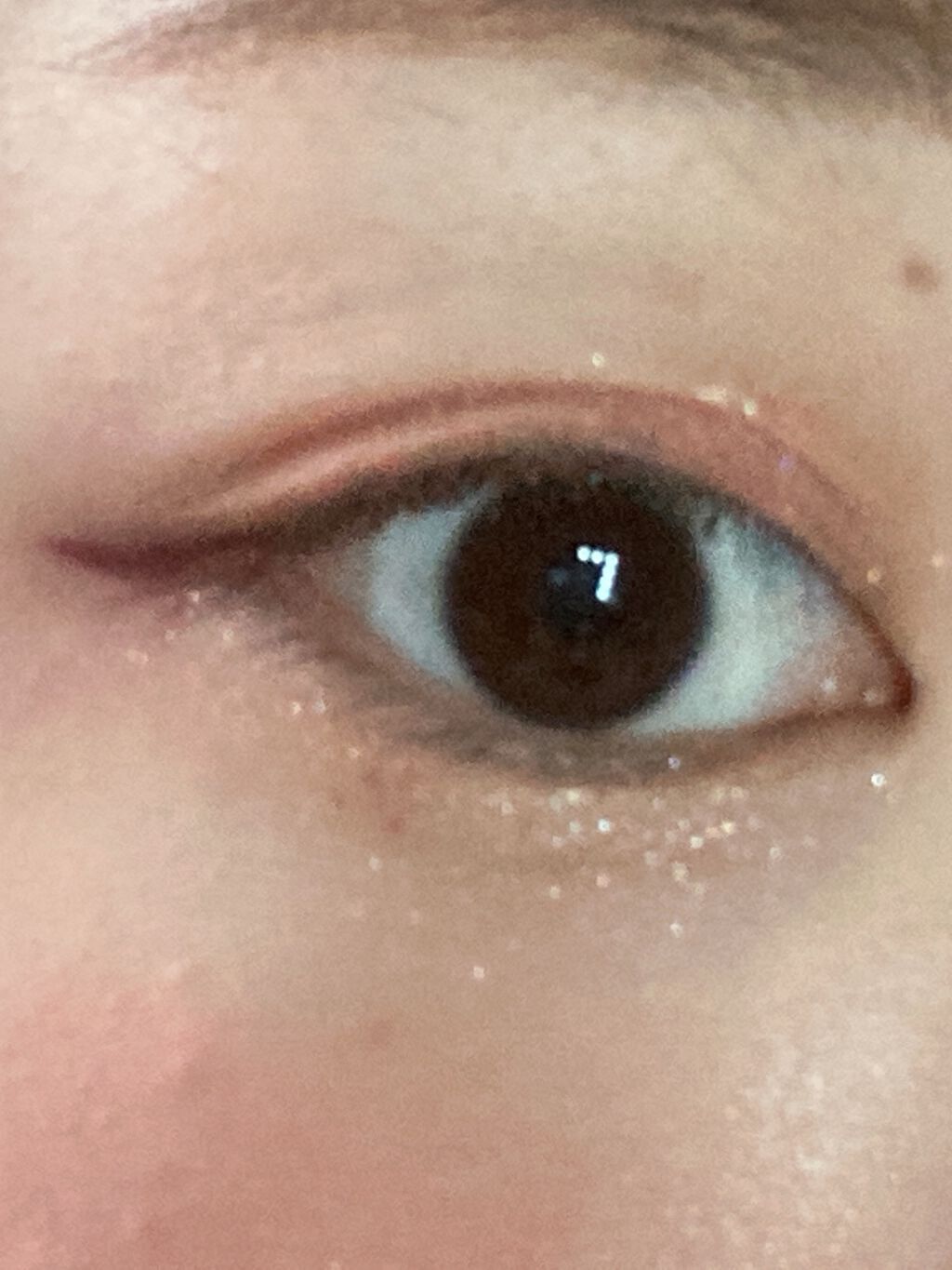 アンダーアイメーカー/dasique/アイシャドウパレットを使ったクチコミ（2枚目）